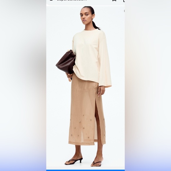 Elegant embellished sheer tan color Skirt - Picture 2 of 5